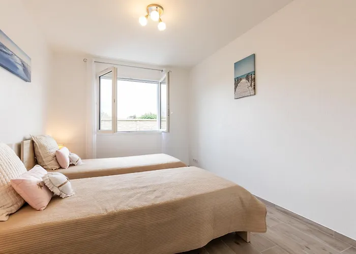 Bassin D'archachon Ares